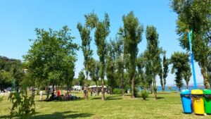 1907726_10203678986928004_3051576282016385440_n