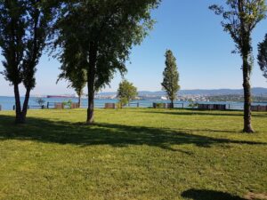 302325884_456653266518408_1615342601921577162_n